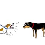 dogs, dog training, leash reactivity